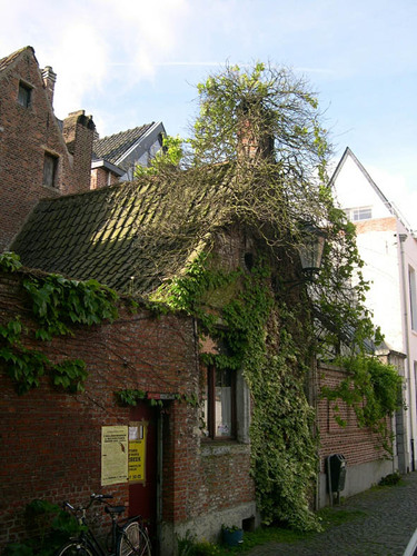 Mechelen Conventstraat 6