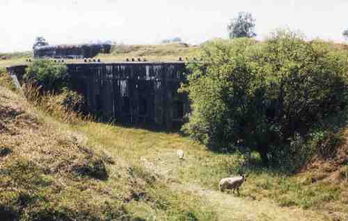 Fort van Haasdonk 