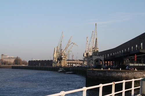 Antwerpen Rijnkaai havenkranen