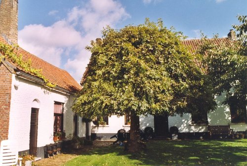 Onder De Dode Treures Naast Het Sint Pancratiuskerkhof Op Sloten