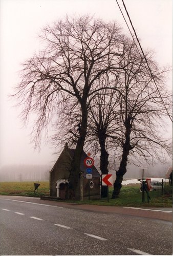 Sint-Lievens-Houtem Bavegem Wettersesteenweg Kapellinden (2)