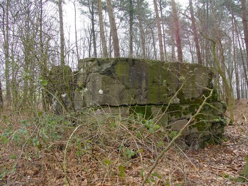 Zillebeke: Heiliggeestbos: Duitse bunker