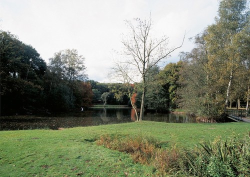 Het kasteelpark en de landschappelijke vijver van Kiewit in Hasselt