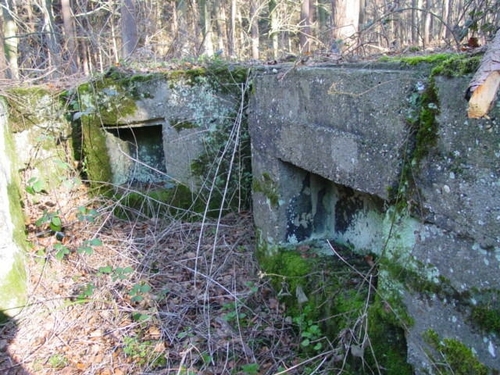 Duitse bunker Hoogendorp