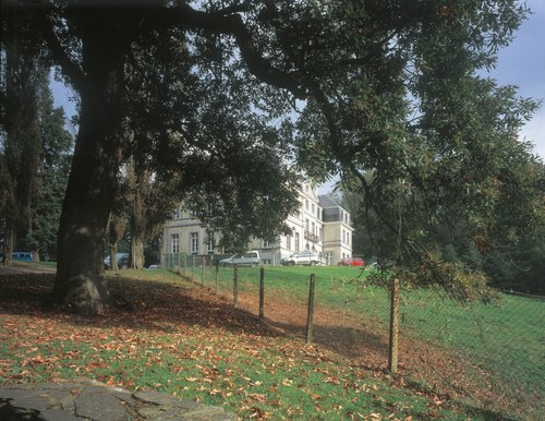 Het medisch-pedagogisch instituut 'Levenslust' te Lennik met, links op de voorgrond, een mispelbladige wintereik, kampioenboom voor België