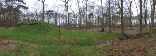 Duitse bunkers in het Elsenbos