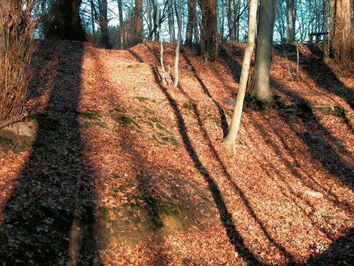 De zuidflank van de Parnassusberg met sporen van terrassen