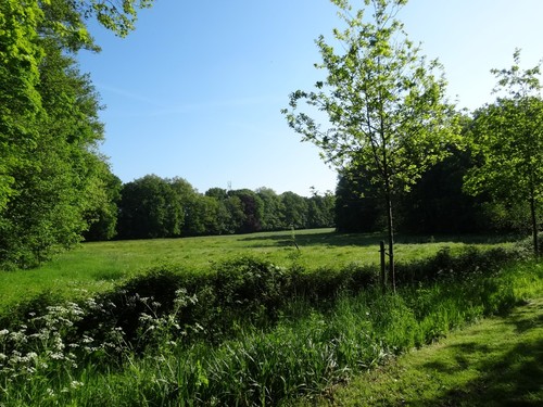 Opglooiend grasland in het kasteeldomein Poeke, ingekapseld met parkbosranden