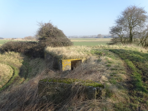 Knokke Nieuwe Hazegraspolderdijk znr bunker 300938 1 dijk