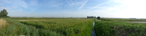 Open polderlandschap