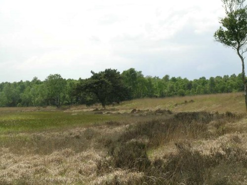 Groot Schietveld | Inventaris Onroerend Erfgoed