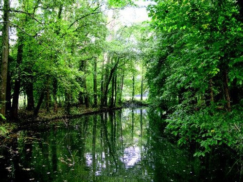De landschappelijke 'rivier', aangelegd in 1820, overschaduwd door bosplantsoen.