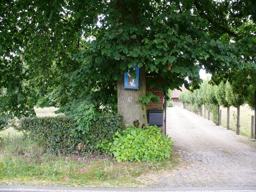 Deinze Astene Krekelstraat 167 erfafsluiting en welkomstboom (6)