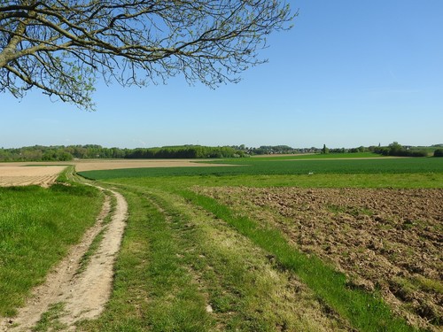 Asse Kobbegem, zicht op agrarisch landschap