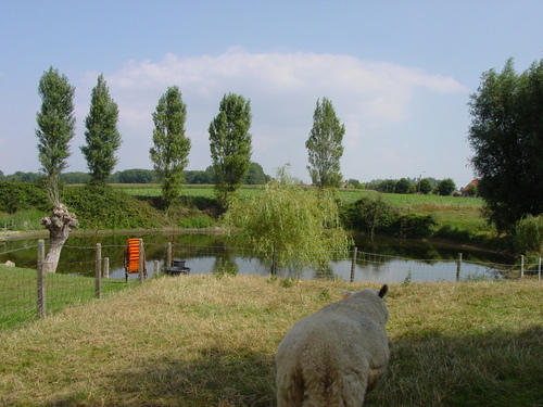 Maedelstede Farm: mijnkrater (Heuvelland-Kemmel)