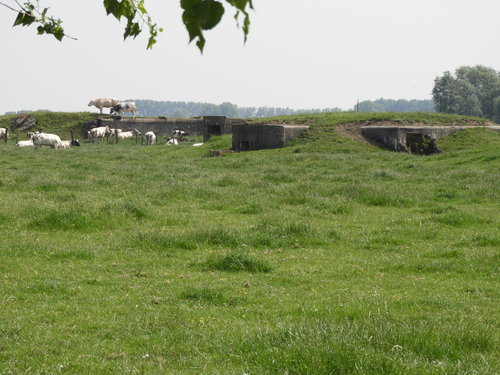 Knokke-Heist Retranchementstraat: bunkers in een weiland