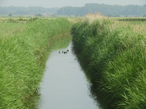 Knokke-Heist: De Vuile vaart, een onderdeel van de Cantelmolinie