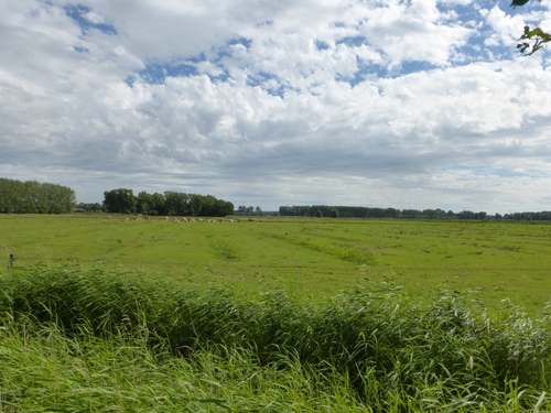 Foto van Meetkerkse Moeren, poldergebied rond Houtave en overgang naar de zandstreek