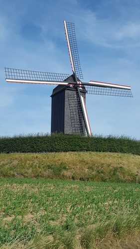 Foto van Houten windmolen de Westmolen