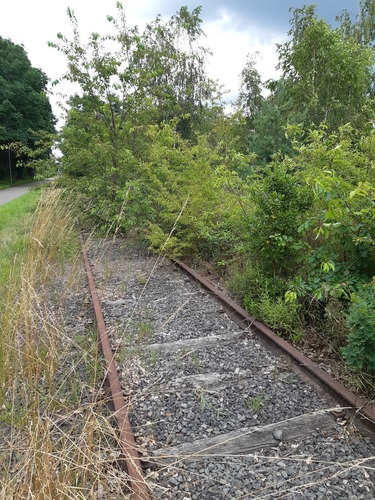Spoorwegbedding lijn 29 Aarschot-Herentals