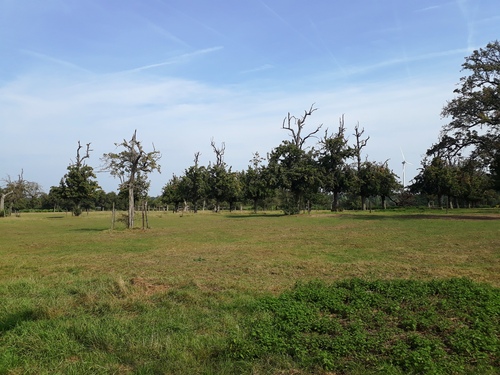 Weideboomgaard