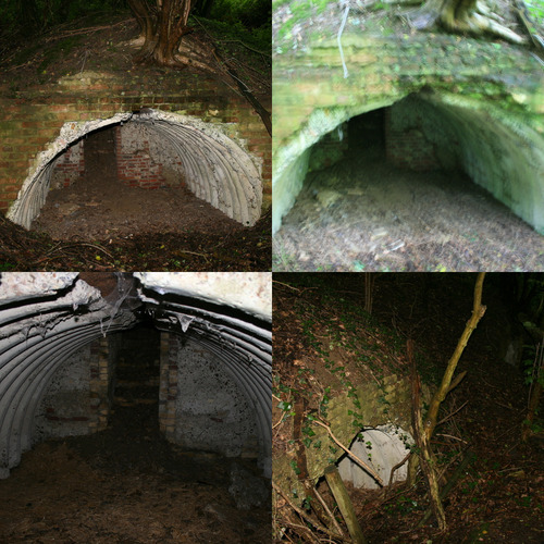 Zes Britse bunkers Scherpenberg