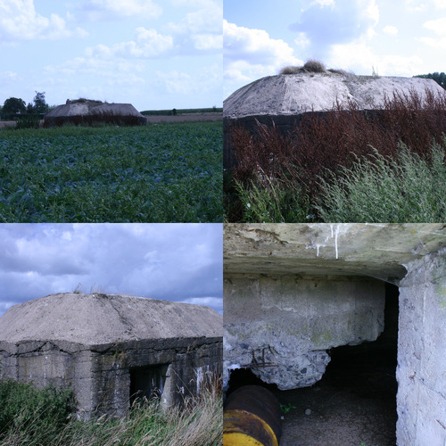 Twee Duitse bunkers